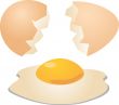 Eggs cracked open