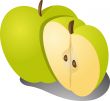 Apple illustration