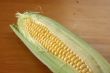 Fresh ears of corn