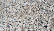 Fine white stones