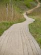 Path