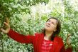 In blooming garden