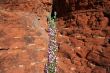 Desert Spring Superstition Mountains