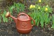 Watering Can
