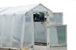 Isolated Greenhouse