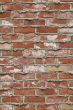 Brick Wall Background