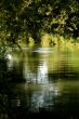 Green River