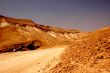 Yellow Desert