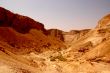 Yellow Desert