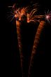 Firework
