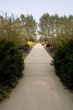 Arboretum Garden