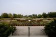 Arboretum Garden