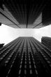 Chicago Architecture