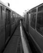 Moving Train
