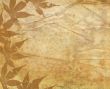 Old Paper Texture With Decorative elements