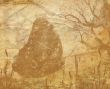 Old Paper Texture With Decorative elements
