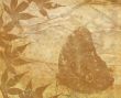 Old Paper Texture With Decorative elements