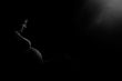 Artistical view of a pregnant woman