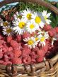 Camomiles and a raspberry