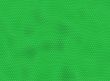 Green reptile skin