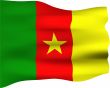 3D Flag of Cameroon