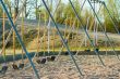 Playground Swings