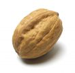 Macadamia Nut