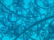 abstract design