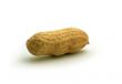 Peanut in shell isolated on a white background
