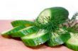 Cucumber