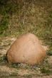 Lonely boulder