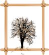 Autumn tree