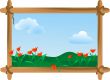 Summer meadow