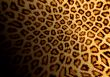 Abstraction leopard background