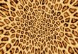 Abstraction leopard background