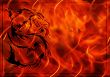 Background with a burning flame and dragon