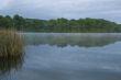 Mist at the lake