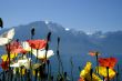 Switzerland Mountains