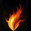 Abstraction flame