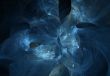 Abstract