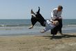 aikido on the beach