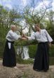 training of Aikido