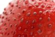 strawberry macro