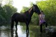 child and horse in river