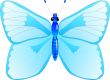 Blue butterfly