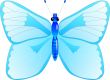 Blue butterfly