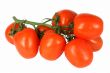  branch is a tomatoes