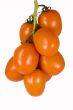  branch is a tomatoes
