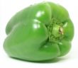 Green paprika 4