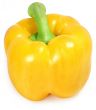 yellow paprika 2